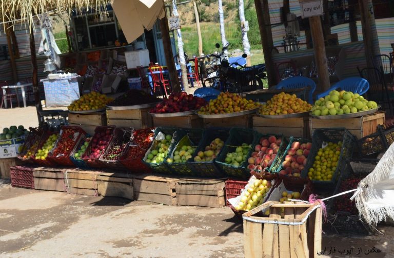 عکس میوه های تابستانی